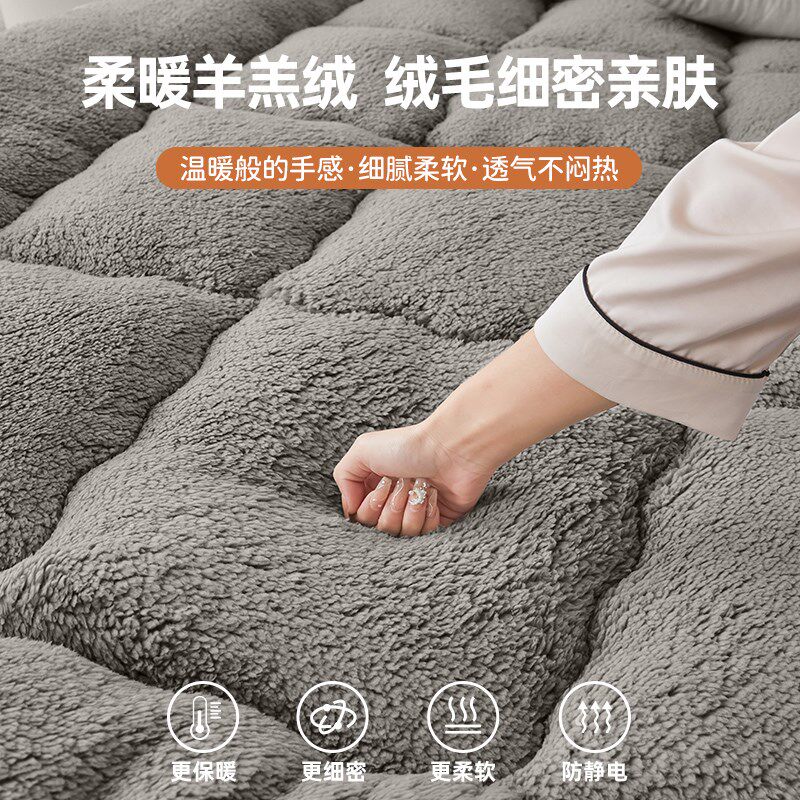 床垫冬季加厚保暖羊羔绒软垫学生宿舍单人榻榻米床褥垫被毛绒垫子