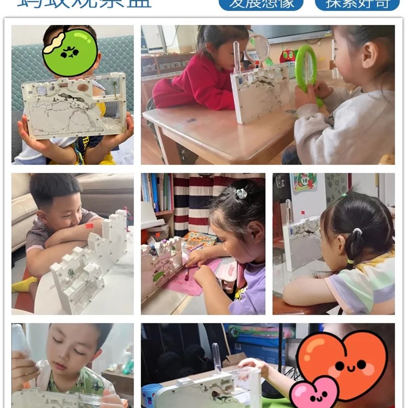 蚂蚁城堡工坊超大型蚂蚁生态箱送蚁后学生观察繁殖版蚁巢窝宠物