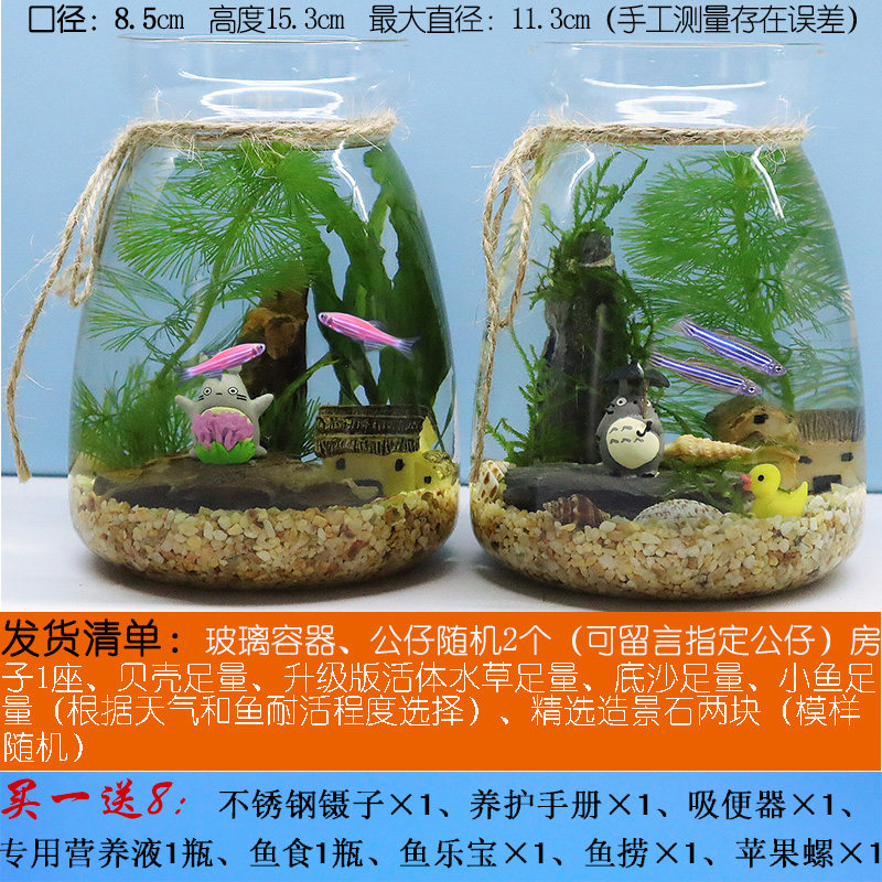 创意生态鱼瓶微景观水族箱生态缸斗鱼缸免换水冷水小型迷你鱼缸