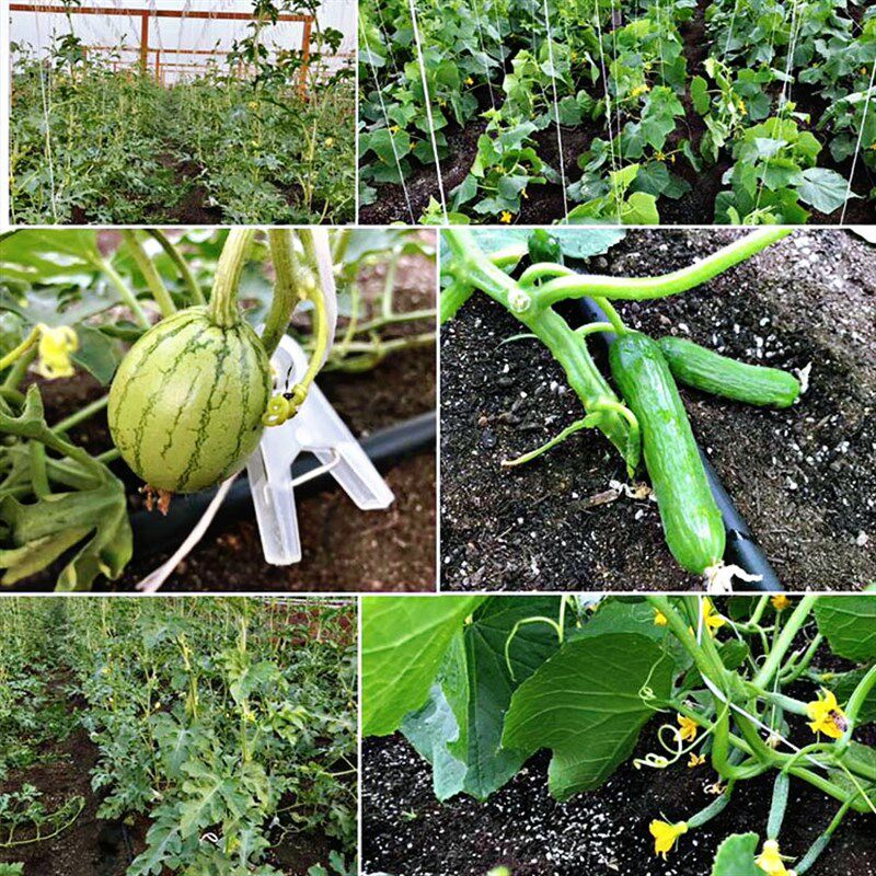 草炭土梅尔土多肉营养土养花育苗种菜通用型种植土大袋50L包邮