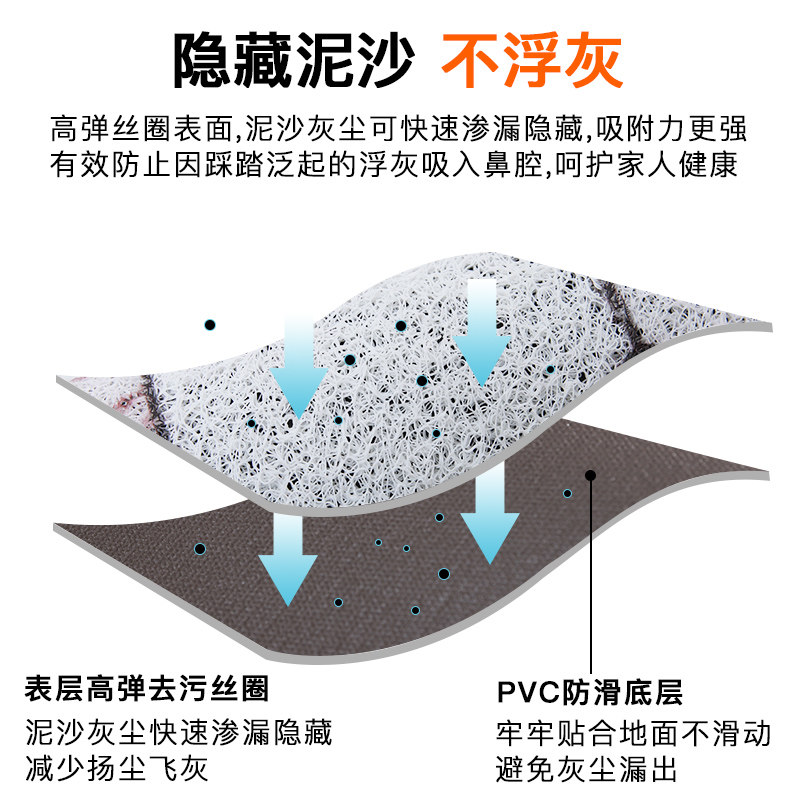 入户门地垫耐脏脚踏垫大门口地毯进户门脚垫门垫家用进门丝圈卡通