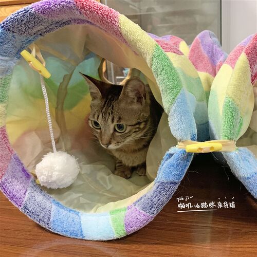 彩虹猫咪隧道可折叠滚地龙四季通用窝床帐篷趣味组合S型通道