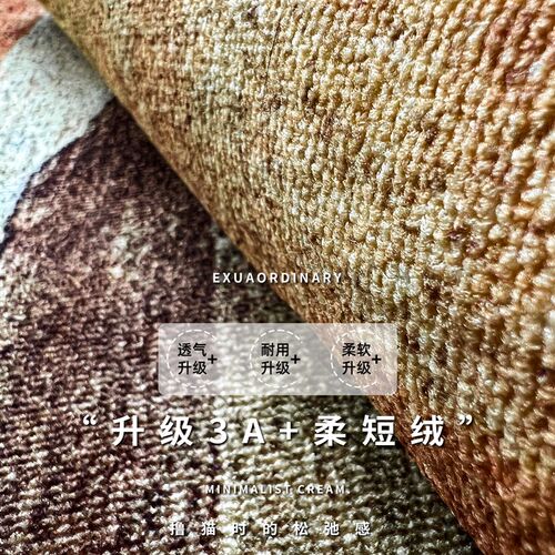 入户门地垫定制免洗可擦进门门口脚垫玄关耐脏防滑家用可裁剪地毯