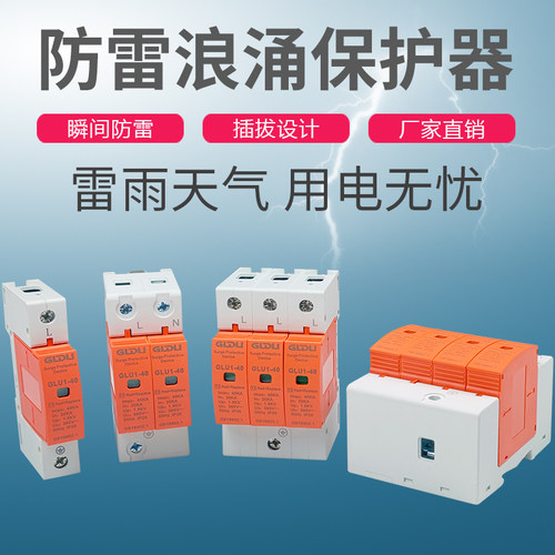 浪涌保护器家用避雷器防雷开关电涌模块一级二级2P4P40KA电源防雷