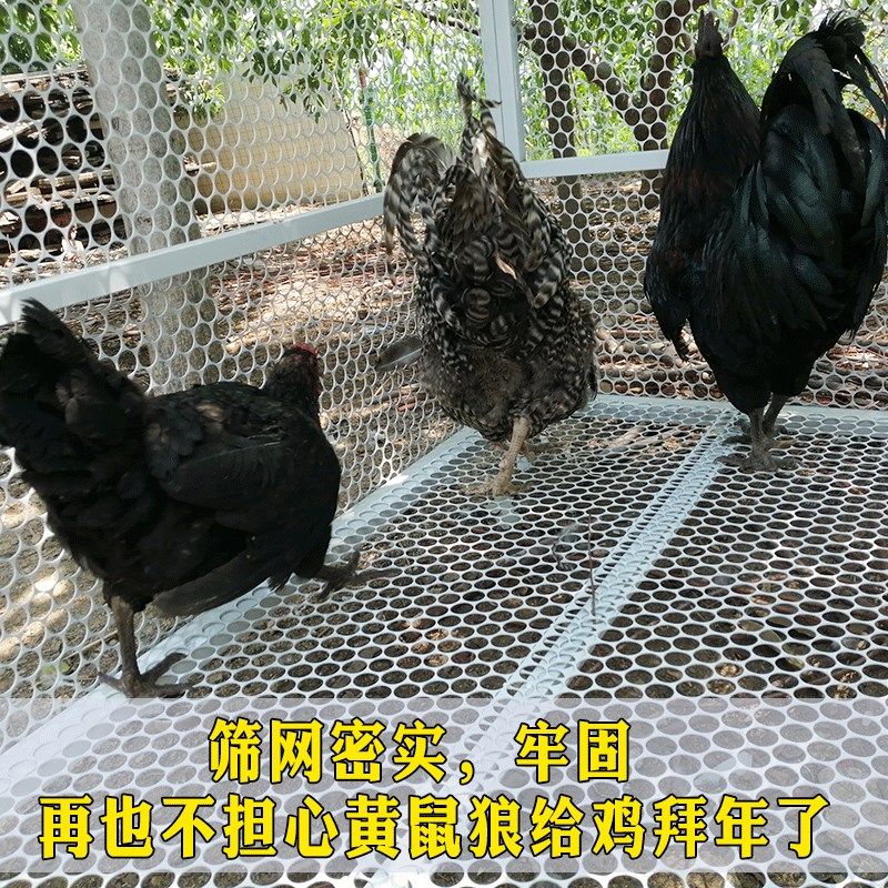 鸡笼子特大号兔子笼家用鸽子笼养殖笼鸡窝鸭子繁殖加密加厚运输笼