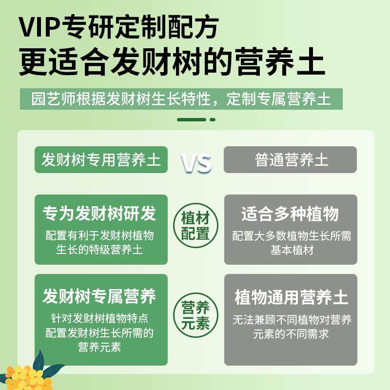 发财树专用营养土发财树专用肥防枯叶黄叶烂根盆栽绿植种植土壤