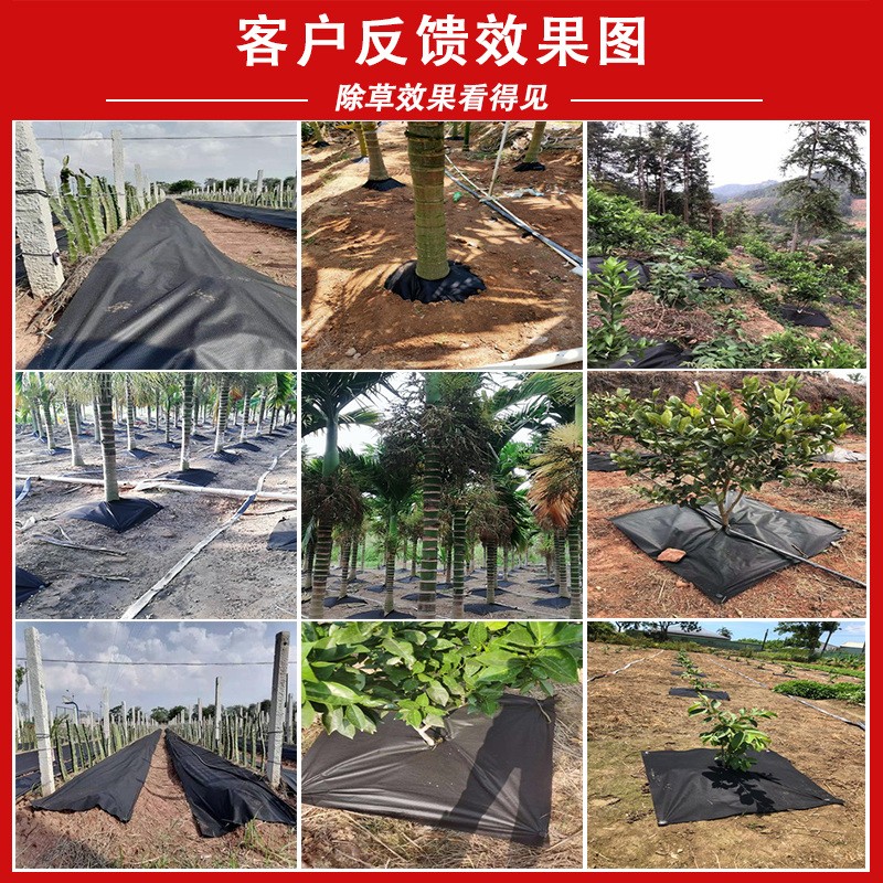 单张 耐用防草布果园除草布农用可降解生态地膜园艺槟榔果树地布