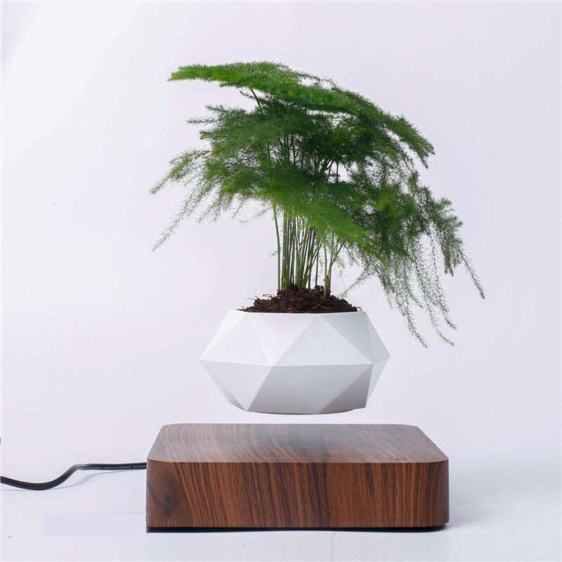 磁悬浮花盆木雕潮流客厅摆件网红创意植物盆景盆栽黑科技礼物礼品