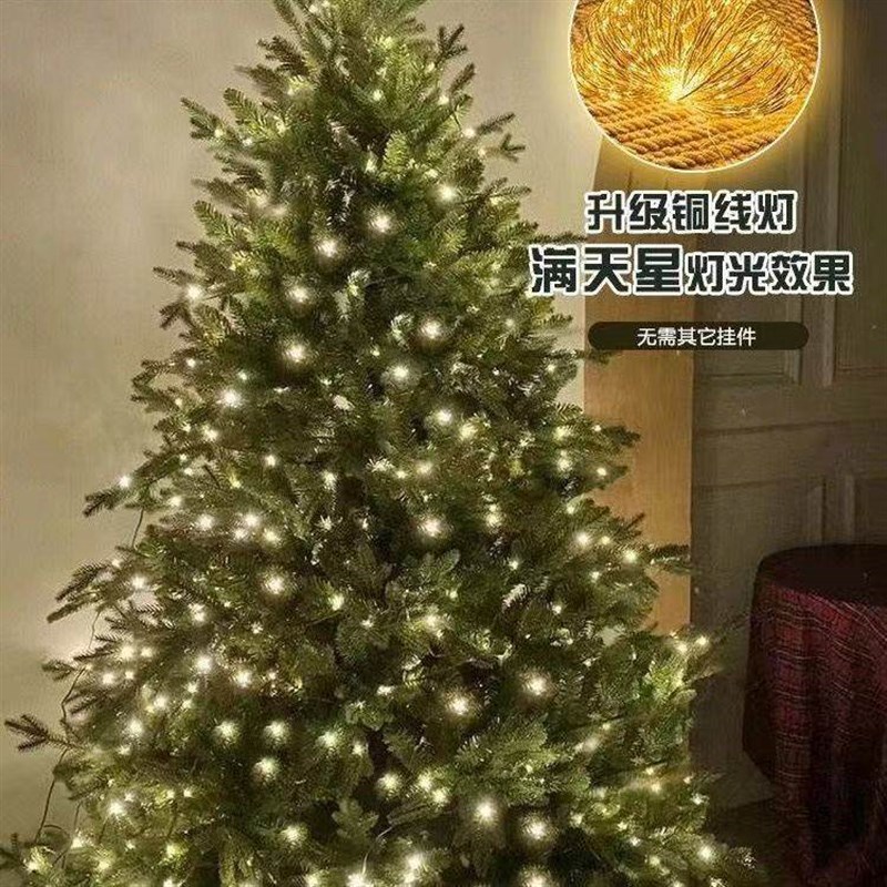 圣诞遥控led小灯串绿线铜丝星星串灯满天星绿植圣诞藤条花环装饰