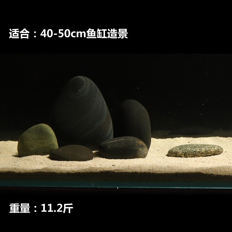 30-50鱼缸造景天然鹅卵石色珊瑚南美原生草缸水族装饰石头摆件
