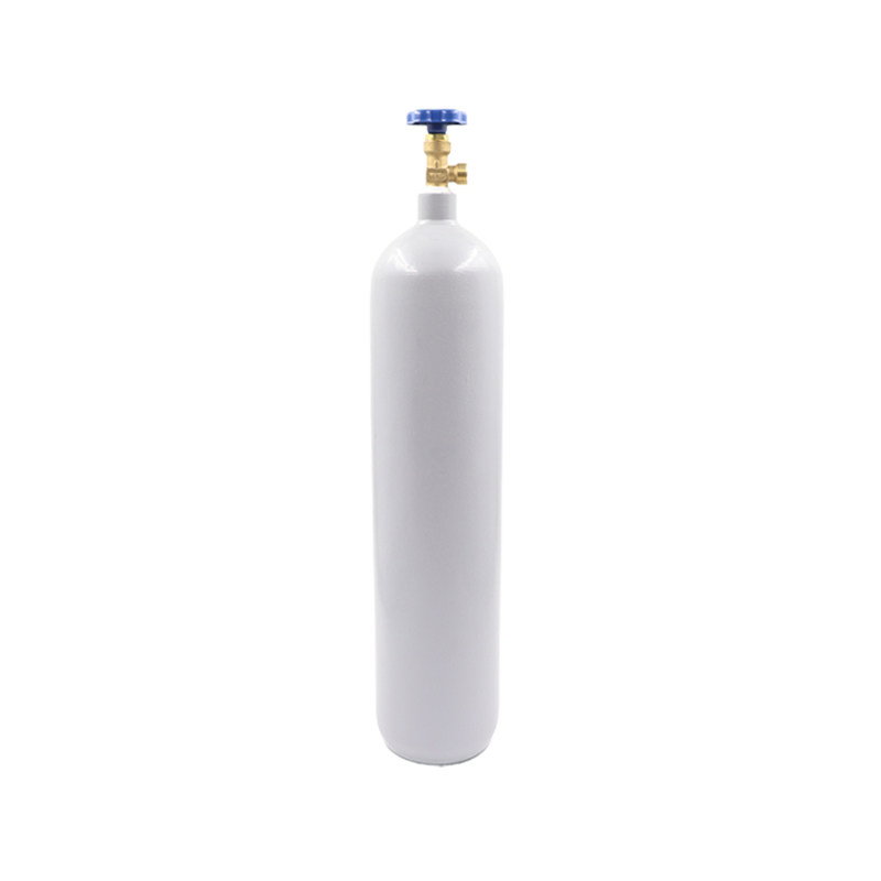 不锈钢氩气瓶提手6L8L10L12L14升国标家用小钢瓶小型氩弧焊机气瓶