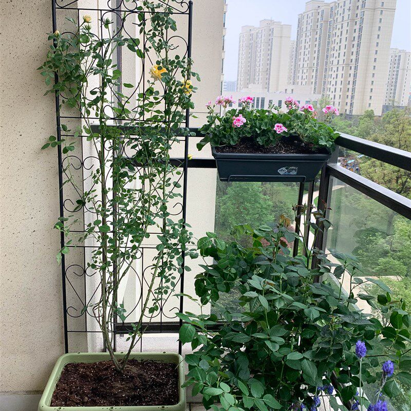 带底座阳台落地欧式屏风架室内庭院铁线莲花幕爬藤架园艺花架包邮