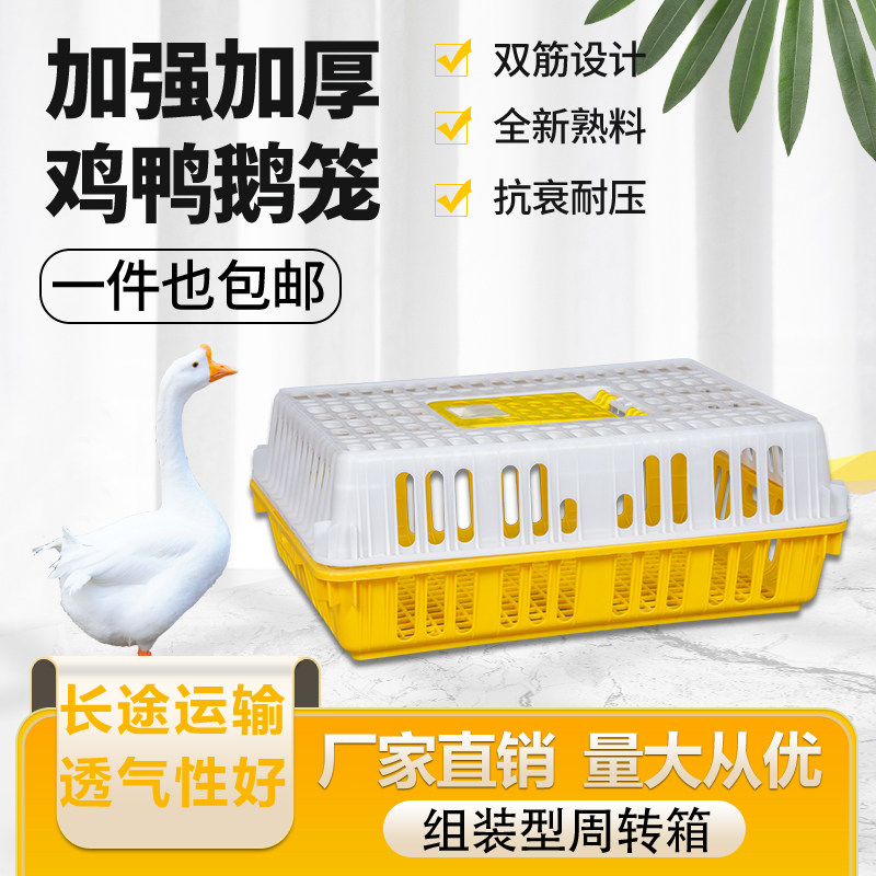 鸡笼周转箱鸡框塑料运输笼家用大号加厚特大筐成鸡鸭鹅鸽家禽兔笼