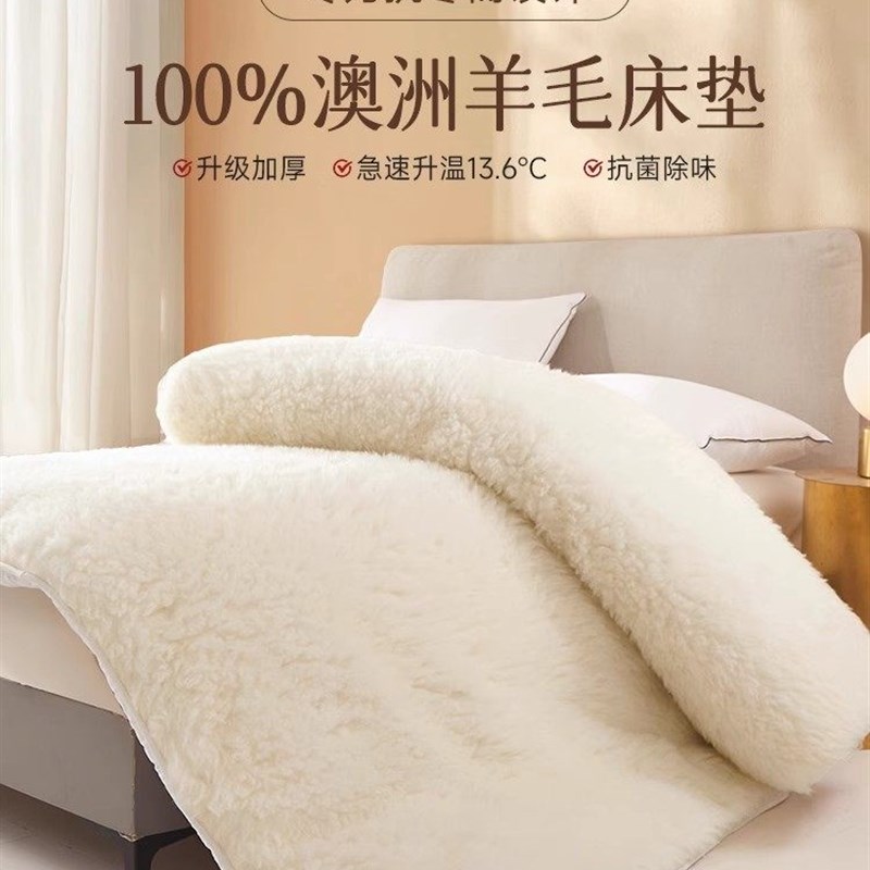 IVUGII羊毛床垫软垫家用床褥垫冬季羊羔绒毛毯冬天加厚保暖垫被子
