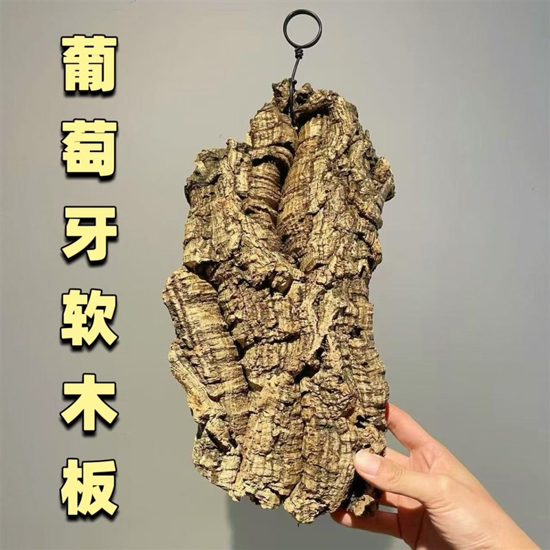 葡萄牙软木树皮鹿角蕨石斛空凤种植板香槟树皮挂板兰花定植板