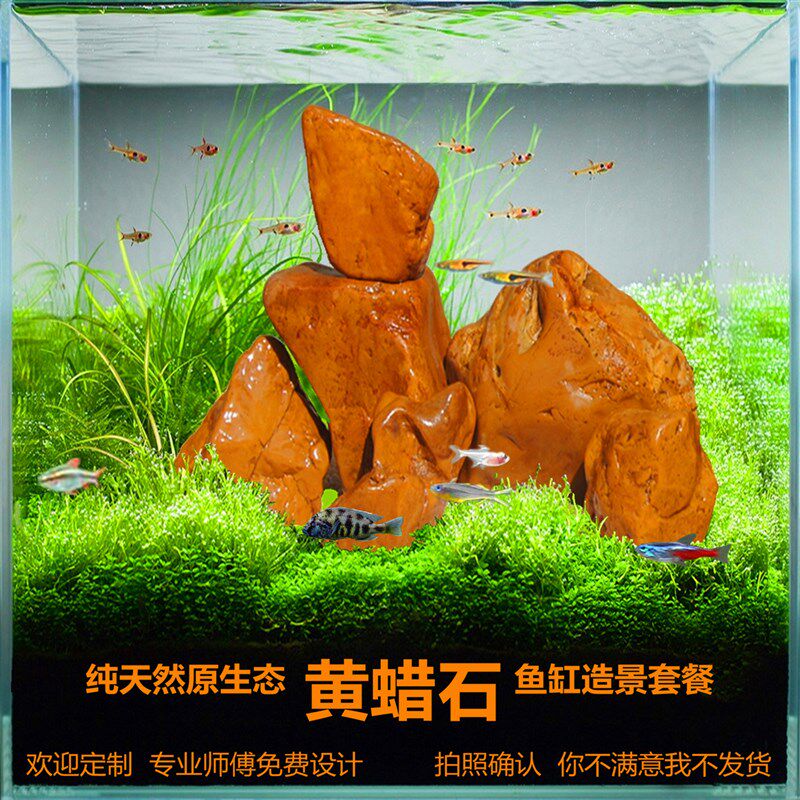 纯天然黄蜡石鱼缸造景套餐石头水陆草生态盆景假山园林乌龟晒背台