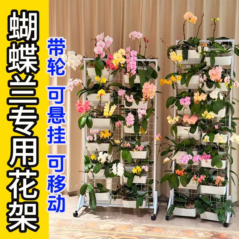 适合放蝴蝶兰的花架客厅阳台可移动网格悬挂花盆落地式铁艺展示架图片