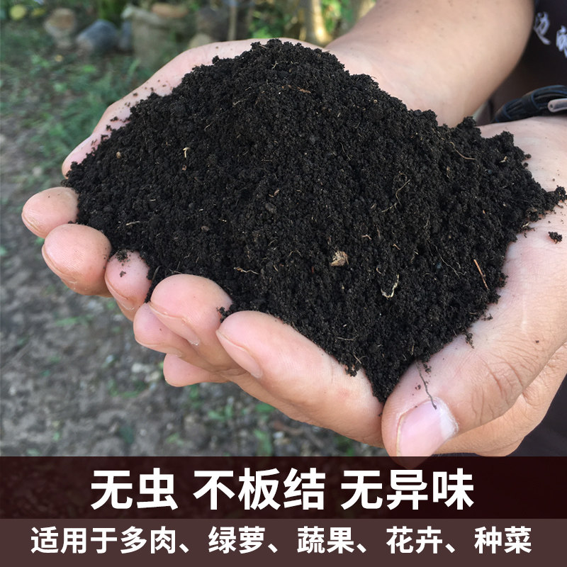 腐叶土100升养花种菜专用种植土壤通用型营养土腐熟松针腐殖土5袋