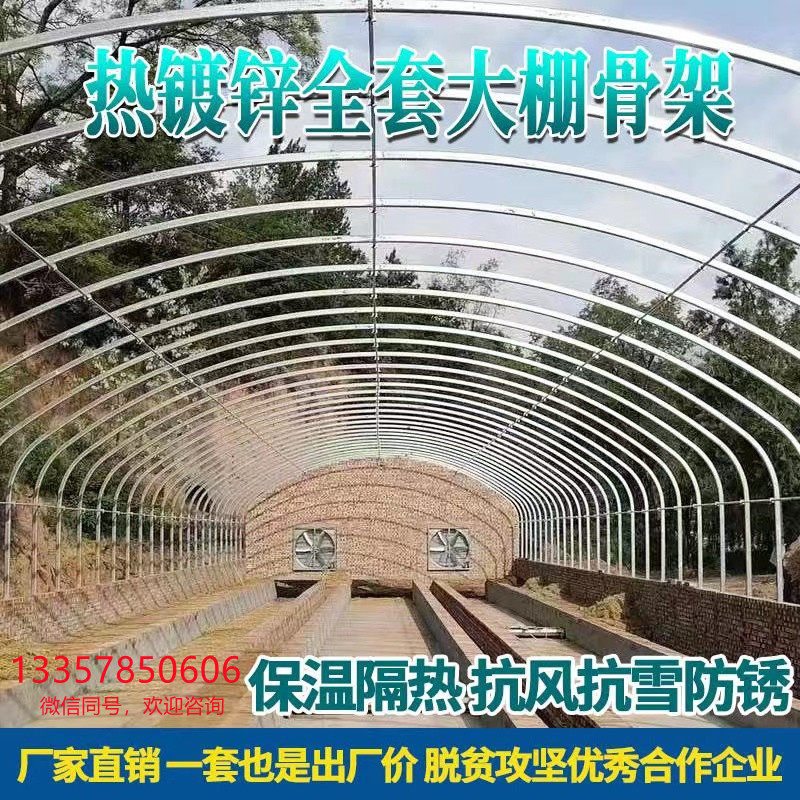 蔬菜种植大棚温室大棚骨架镀锌连体家用育苗多肉花卉草莓葡萄大棚