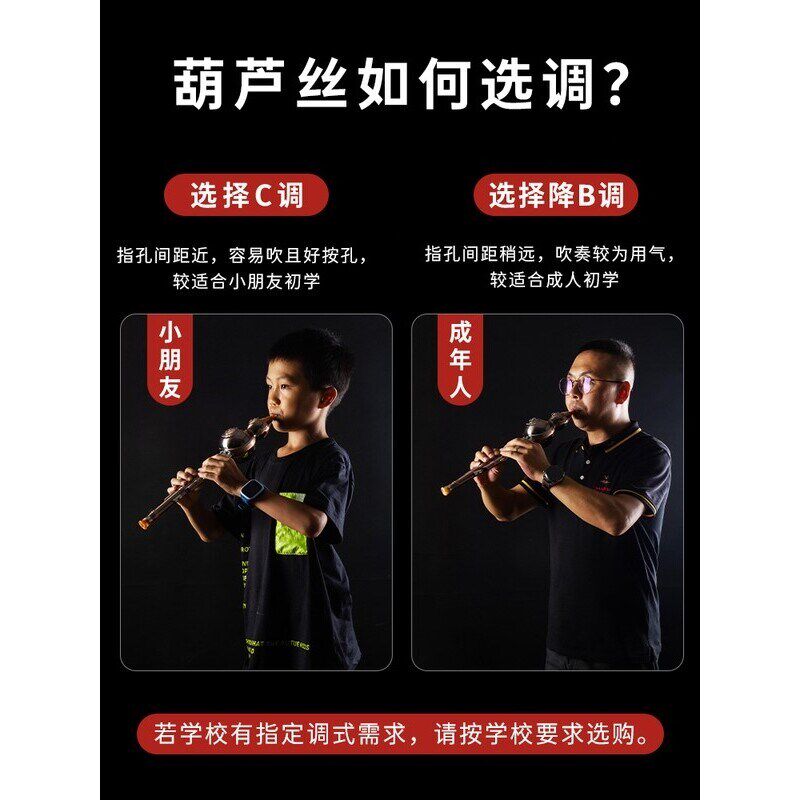 葫芦丝乐器防摔高档大c调小学生演奏7七孔专业降b调初学者胡葫丝