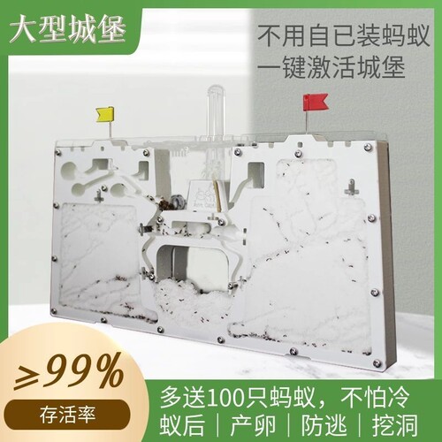 蚂蚁城堡超大型蚂蚁生态箱送蚁后学生观察繁殖版双工坊蚁巢宠物窝