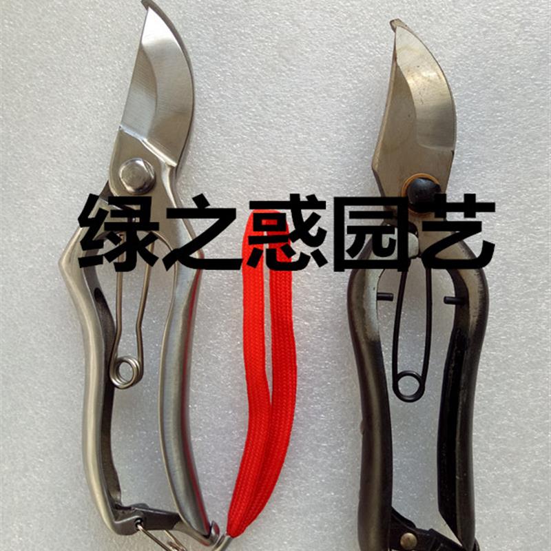 新款不锈钢剪定铗 锻打修枝剪刀 园艺剪盆景插花剪果园剪花艺剪