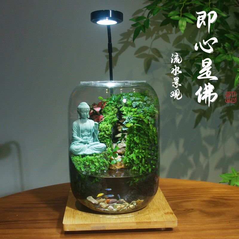 创意苔藓微景观流水景观生态瓶养鱼闷养微缩景观桌面迷你绿植佛祖
