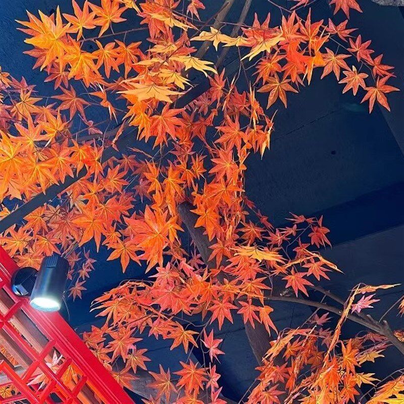 仿真假红枫树枝树叶绿枫树饭店火锅奶茶店铺橱窗吊顶装饰挂壁布置