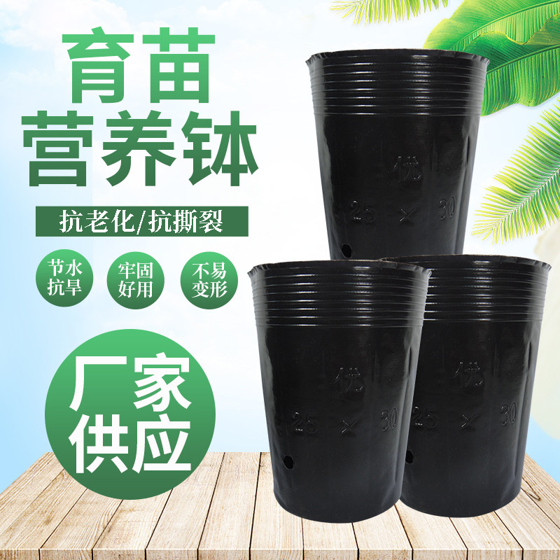 营养钵黑色营养杯塑料育苗杯一次性黑碗多肉花盆加厚育苗袋育苗盆