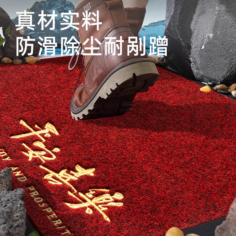 入户门地垫2025新款高级仿椰棕客厅进门垫耐脏免洗防滑门外脚垫子