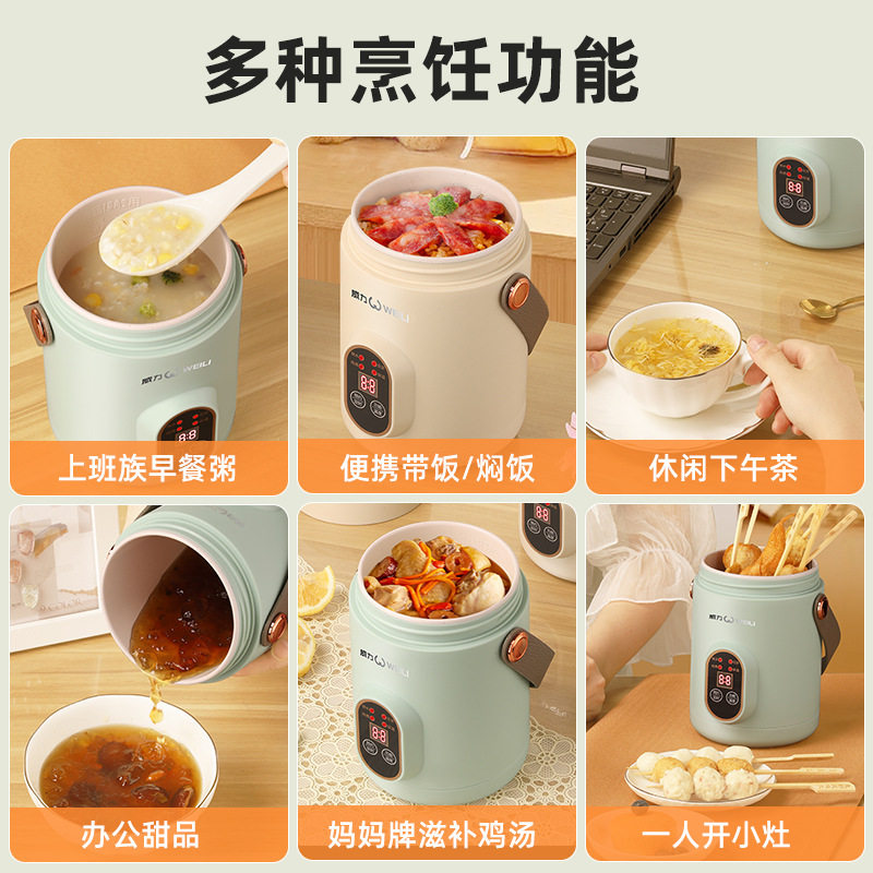 电煮锅迷你炖煮锅便携电汤煲饭家用煲粥专用学生宿舍一体电炖火锅