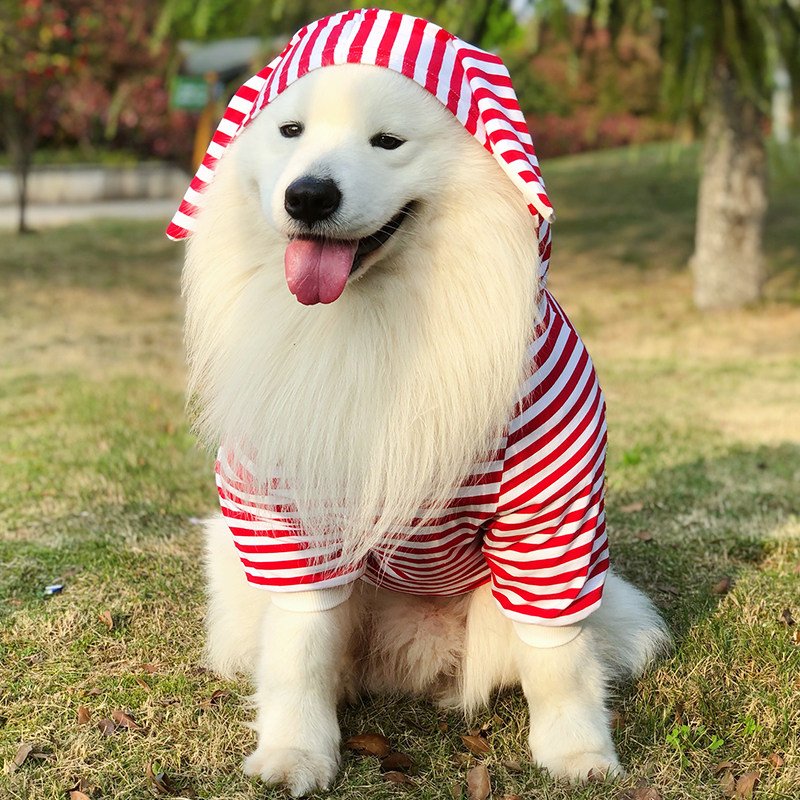 萨摩耶衣服大狗狗夏装金毛拉布拉多边牧春秋季中型大型犬薄款衣服图片