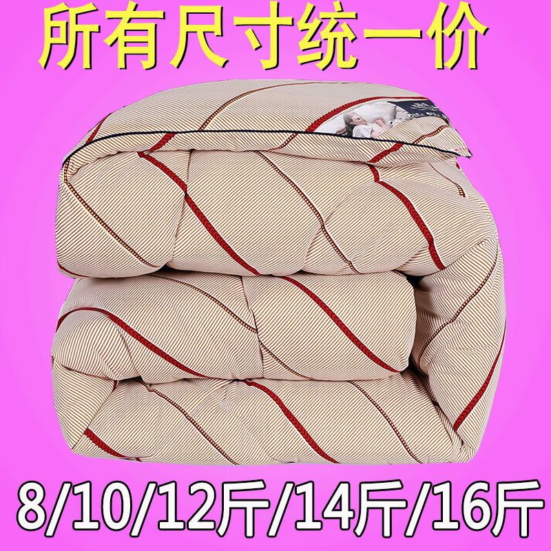 冬被加厚保暖水洗棉被子芯2.0/1.8X2.2X2.4米床羽丝10/12/14/16斤