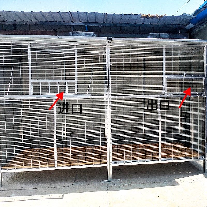 大型拼装鸽笼家用鸽子配对笼巢箱鸽舍鸽棚组合养鸽子用具用品大全