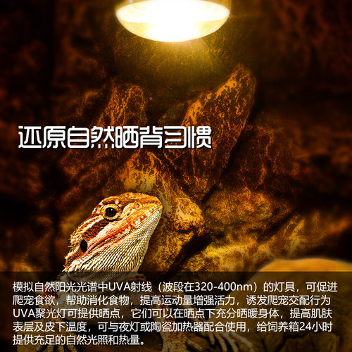 RS沙漠型爬宠UVA日灯加热灯鬃狮蜥蜴爬虫陆龟箱强烈聚光晒背升级