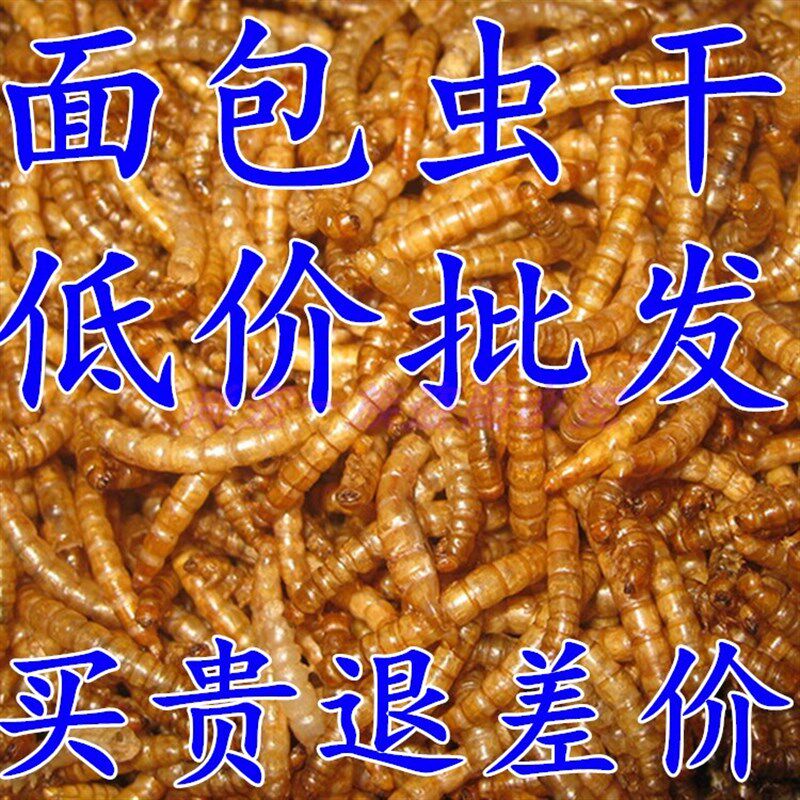 面包虫干黄粉虫干500克一斤鸟龙鱼地图罗汉龟鳖仓鼠粮食零食包邮