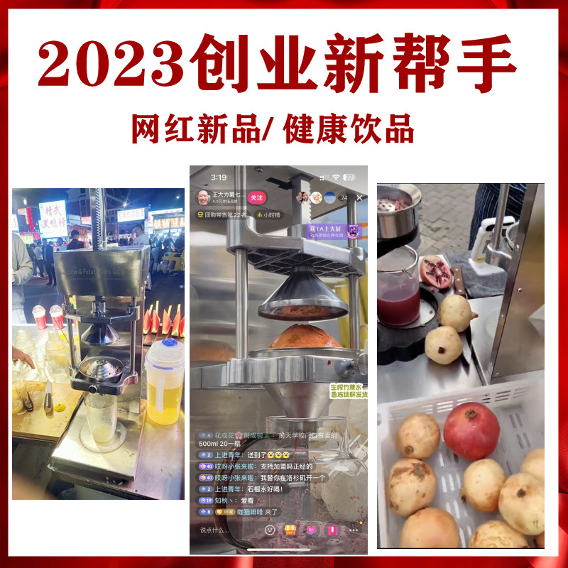 电动压榨机石榴榨汁机器压汁机挤压器压原汁商用油渣饼蜂蜜压榨机