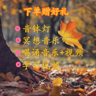 A级准音水晶颂钵432hz专业级瑜伽音疗水晶音乐碗冥想钵静心减压套