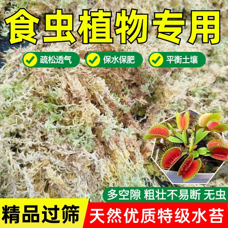 食虫植物专用土种植营养土捕蝇草猪笼草食人花茅膏菜驱蚊草青水苔
