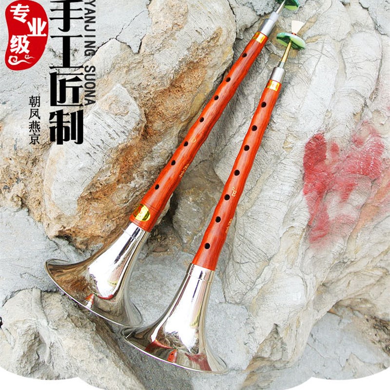 唢呐乐器初学者正宗花梨木原木降E调高音唢呐小号d调儿童入门全套