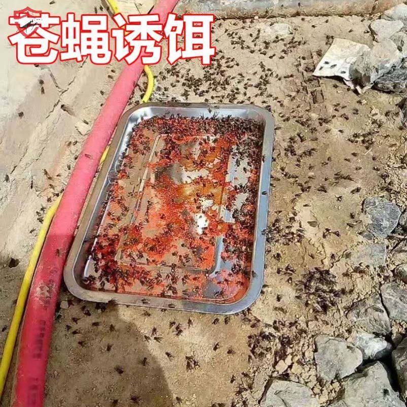 鸡牌灭蝇王强力苍蝇药粉诱饵杀手捕蝇子药除驱灭苍蝇神器杀蝇饵剂