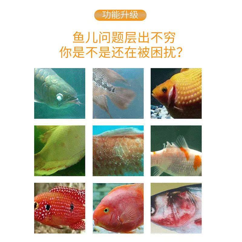 罗汉鹦鹉鱼头洞病鱼药菌立克充血白点烂腮烂鳍白毛鱼缸水质调理剂