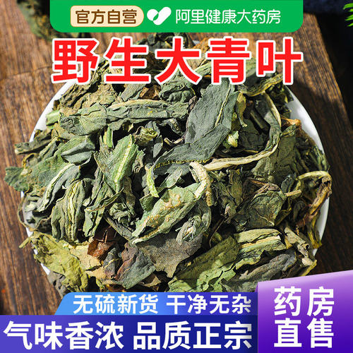 【药房直售】大青叶中草药材500g