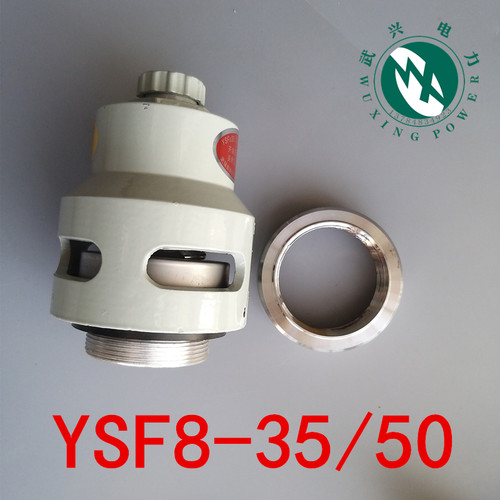 变压器压力释放阀YSF8-35/25 螺纹连接保护装置 泄压保护设备