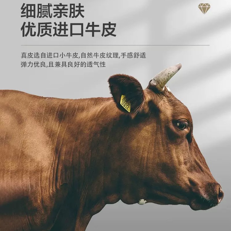 2022款东风ev新能源纳米box脚垫专用全包围汽车丝圈垫车垫改装饰
