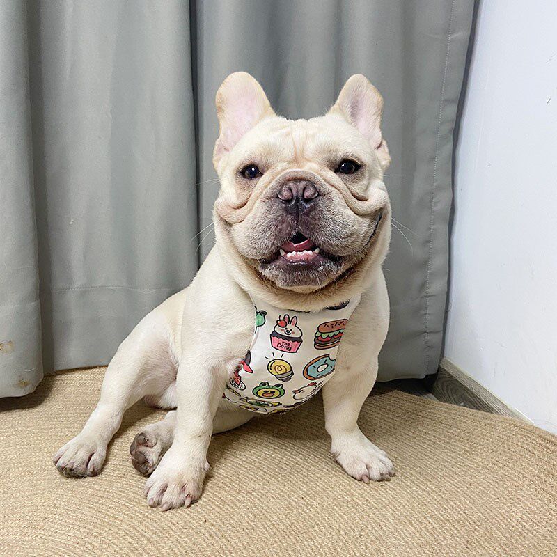 夏季宠物降温斗牛犬背心背带狗狗凉凉衣雪纳瑞巴哥法斗外出小型犬