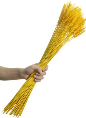 干花麦穗金黄橱窗开业大卖装饰摆件拍摄北欧田园风小麦花桶兔尾草