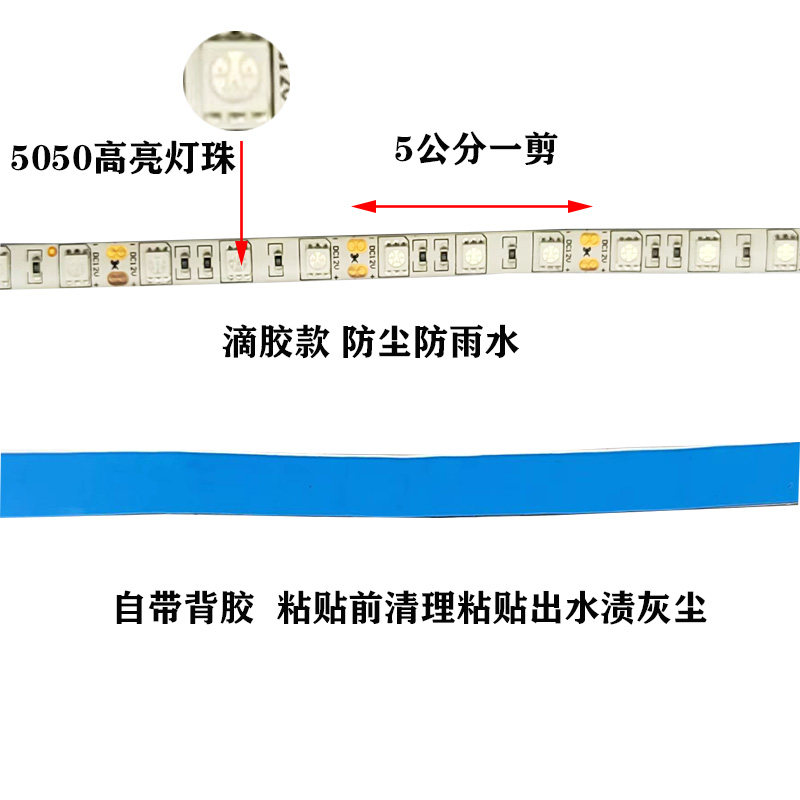 低压全光谱植物生长补光灯带家用阳台大棚多肉蔬果花卉上色防徒长