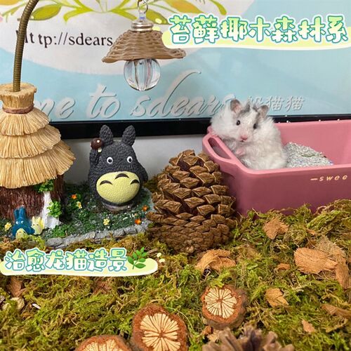金丝熊仓鼠通心粉厕所 陶瓷厕所多款实用耐用厕所浴缸亚克力厕所