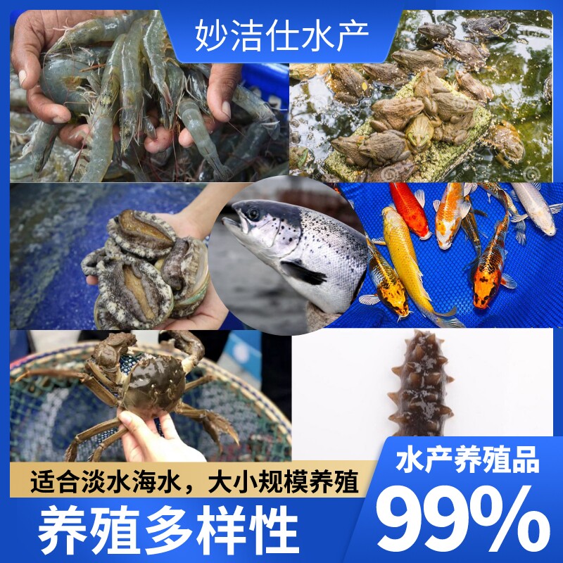 水产养殖银离子专用鱼药鱼虾池塘除藻水质净化消毒杀菌剂改底除臭